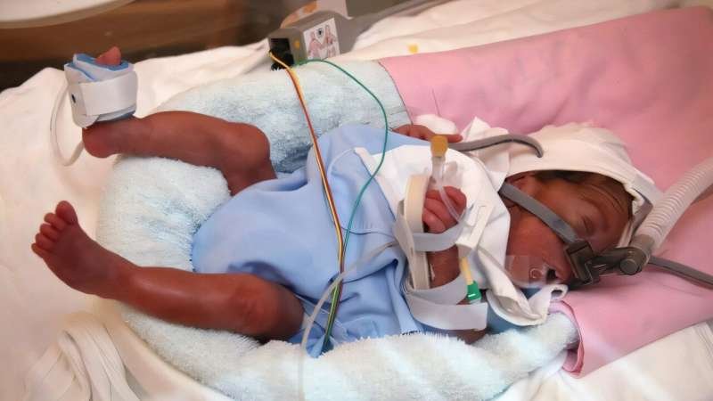 Rewiring Early Life: What Extremely Preterm Birth Teaches Us About the Brain