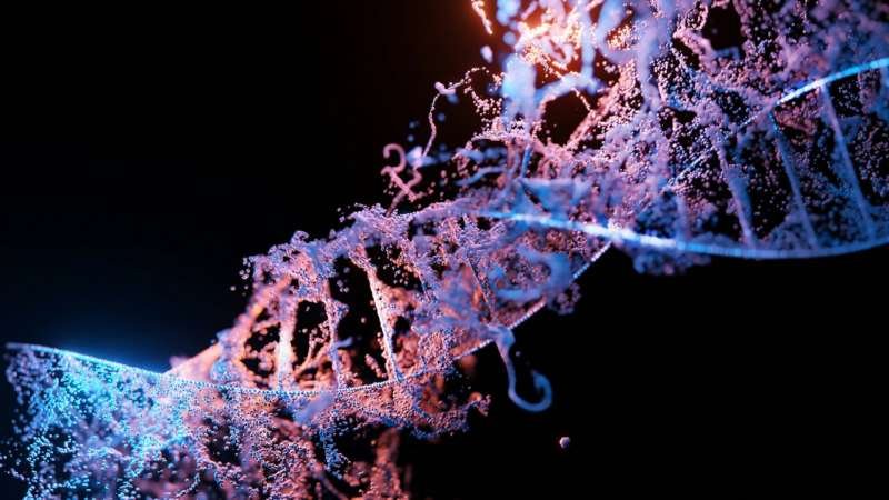 Cracking the code of p53 fragility: Why the genome guardian is prone to failure