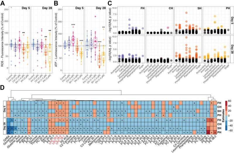 How Different SSRIs Affect Metabolism in Early Brain Development