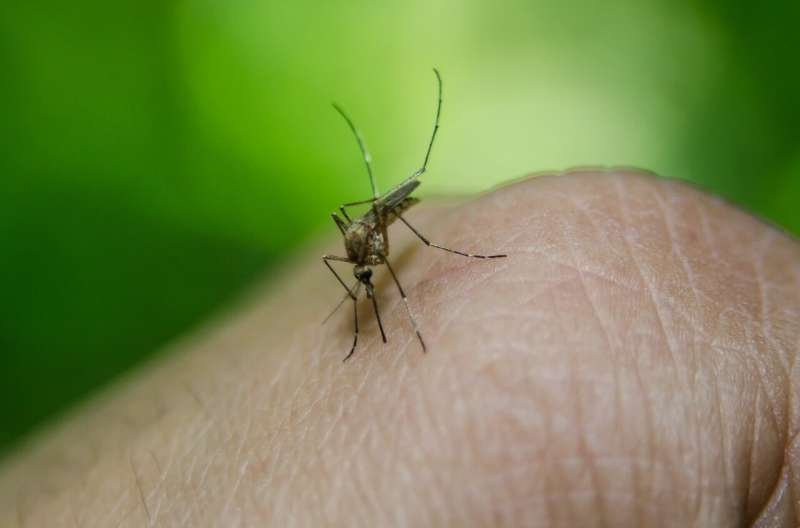 Rising temperatures could bring more vector-borne diseases to Canada, commentary warns