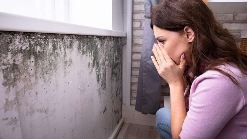 ATS: City-Wide Mold Intervention Can Reduce Asthma ED Visits