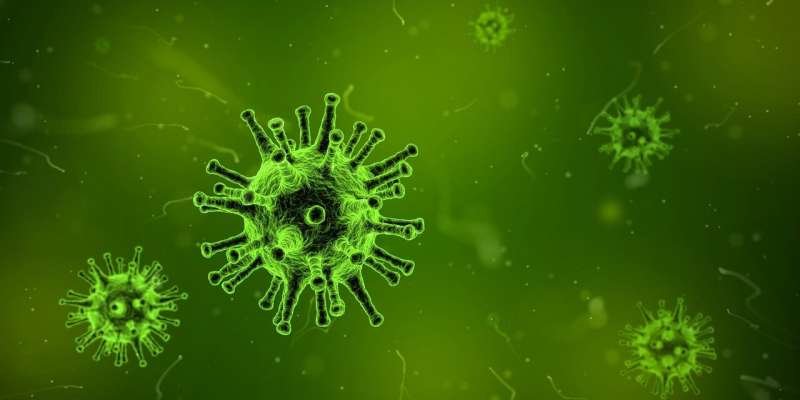 Ebola and Hantavirus Outbreaks Signal Need for Global Unity: WHO