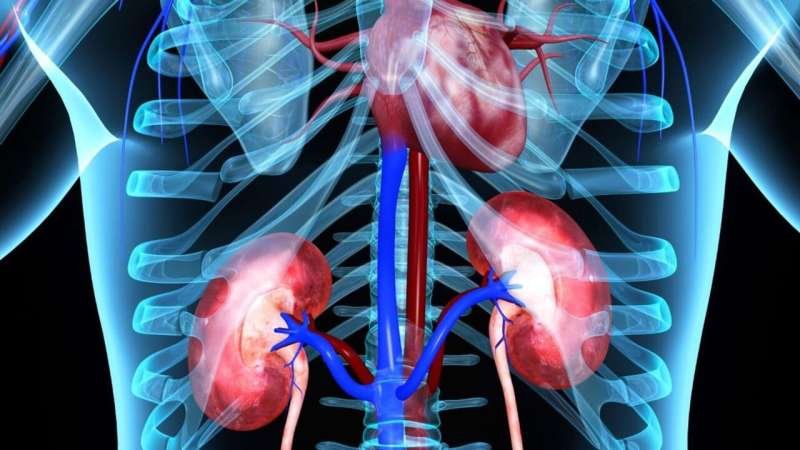 New-onset A-Fib May Accelerate Kidney Function Decline