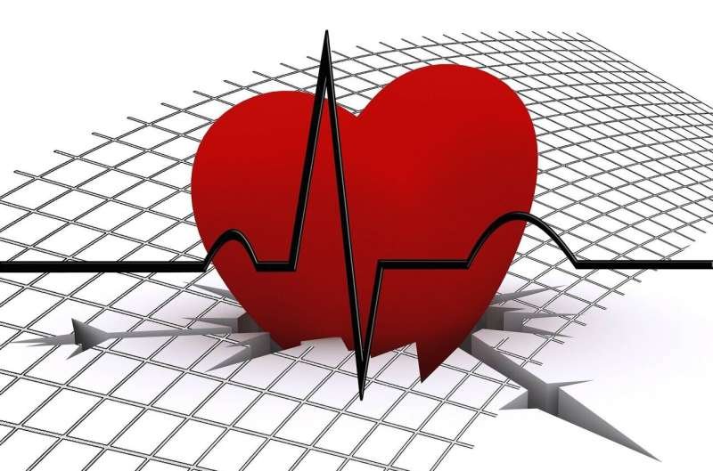 Avoidable Inequalities Persist in Cardiovascular Disease Burden and Care