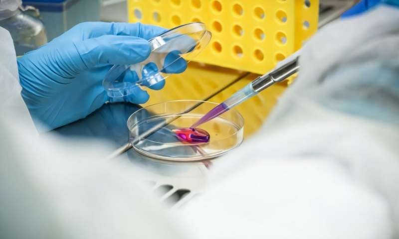 Family-donor stem cells show safe symptom relief for 'butterfly skin' patients, trial suggests