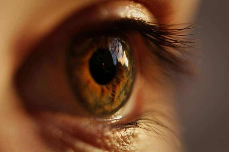Written in the eye: How the retina's biological age could help predict osteoporosis risk