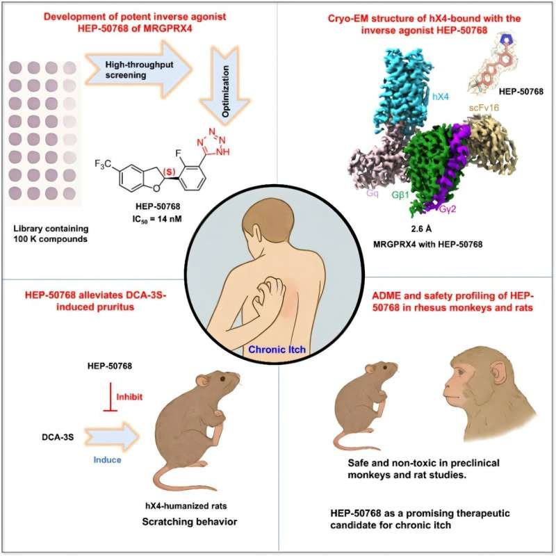 Scientists develop first-in-class drug candidate for chronic itch