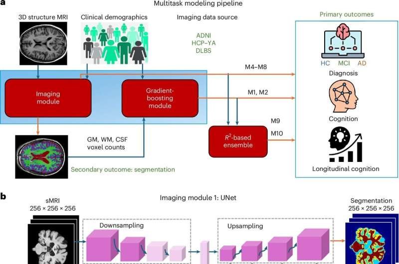 Baseline MRI lets AI predict Alzheimer's progression without cognitive testing