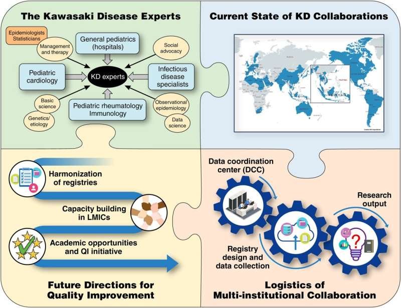 Global Collaboration Key to Reducing Kawasaki Disease Risks, Experts Say
