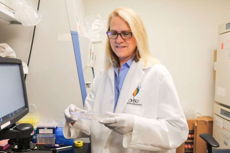 Overactive MYC Protein Helps Tumors Repair DNA Damage and Resist Chemotherapy, Study Finds