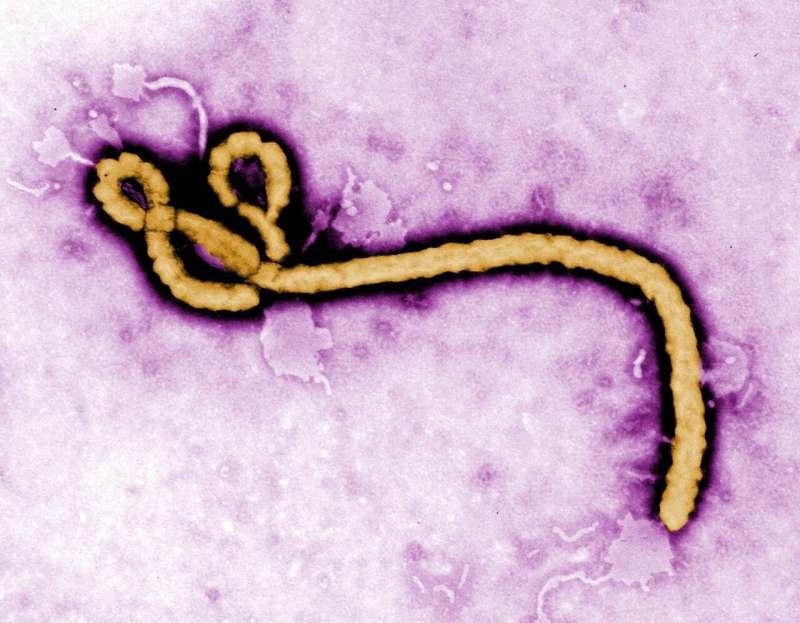 A look at major Ebola outbreaks and when the disease was first identified