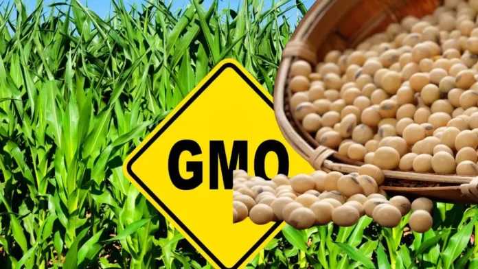 Pakistan Aims to Streamline GMO Regulations Through Comprehensive Reforms