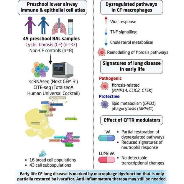 Early Lung Damage Mapped in Children with Cystic Fibrosis
