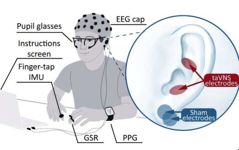 Using Vagus Nerve Stimulation to Enhance Movement Rehabilitation