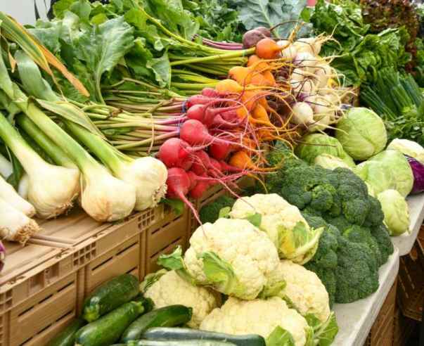 Broccoli compounds may help repair HIV-linked gut damage, animal study suggests
