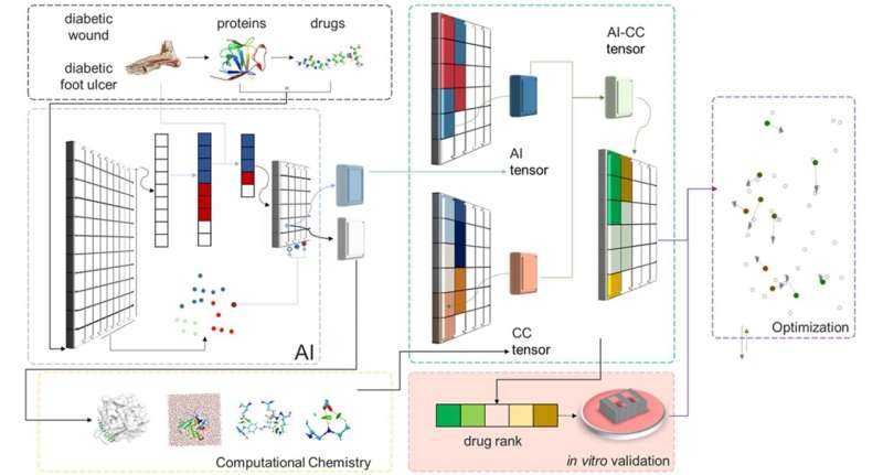 AI-guided drug search flags folic acid for diabetic wound healing