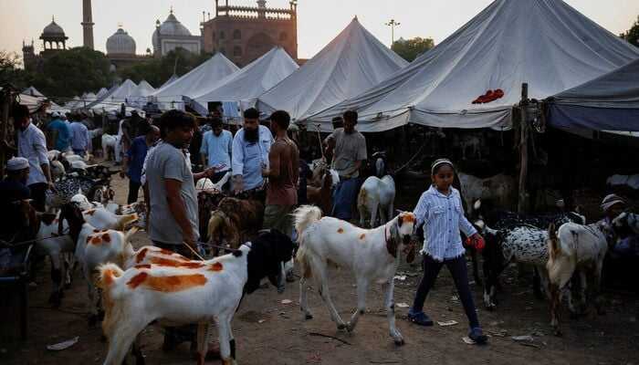India bans cow, calf sacrifice, road blockades for Eid ul Adha prayer