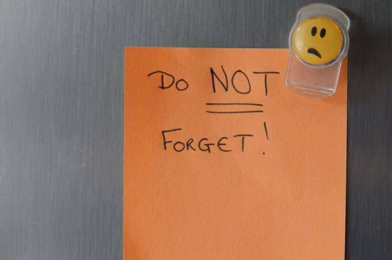 Memory Decline After Menopause Linked to Loss of Estrogen Production in Brain Tissue