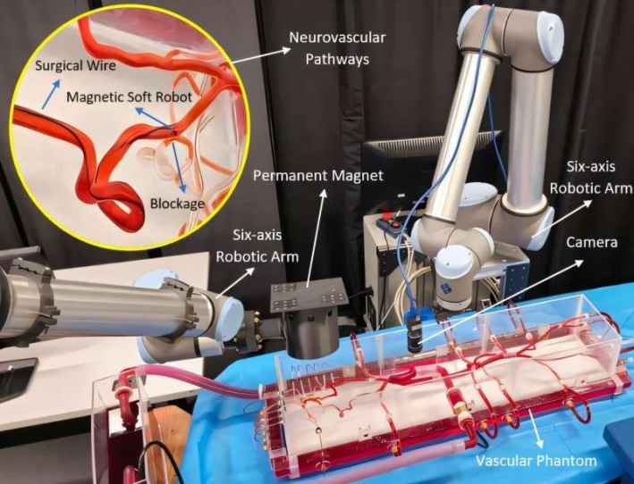 Magnet-guided soft robots could lead to safer treatment of life-threatening blood clots