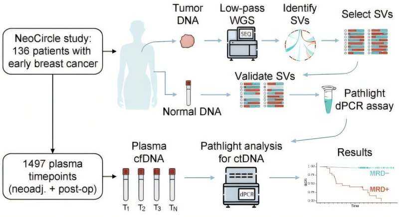 Blood Test Detects Early Signs of Breast Cancer Recurrence