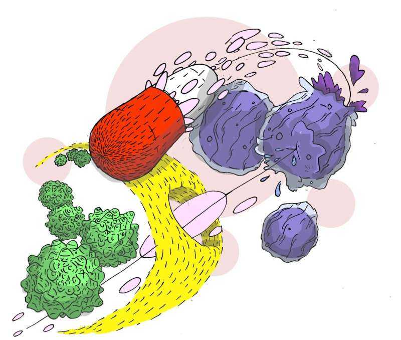 Chronic Leukemia Treatment May Affect Immunity Long-Term