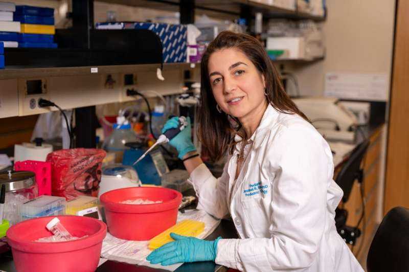 Blocking Two Cancer Pathways May Curb Medulloblastoma Relapse, Preclinical Study Suggests