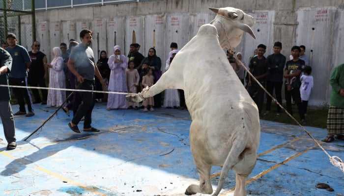 In pictures: From prayers to sacrifice, Muslims worldwide mark Eid ul Adha