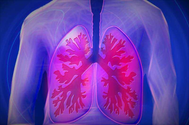 New Studies Highlight Effective Immune Modulation Techniques to Combat Valley Fever