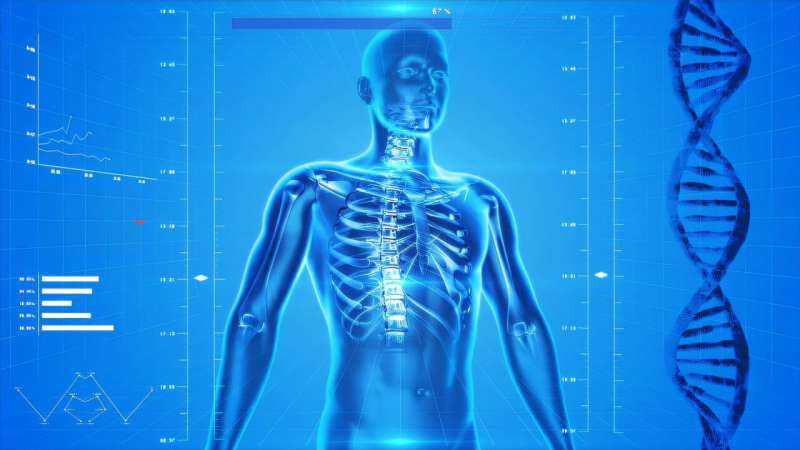 Seven AI Models Confirm Medical Accuracy in 10,000 Chatbot Tests