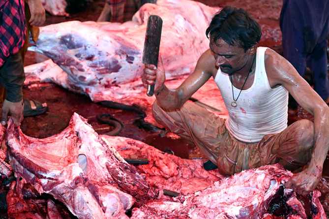 Butcher Slaughters Sacrificial Animal at Madani Markaz Faizan e Madina for First Day of Eidul Adha