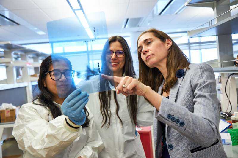 Scientists identify metabolic target to overcome chemotherapy resistance in ovarian cancer