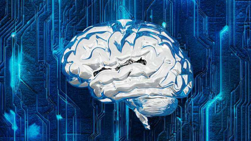 Brain Aging Reveals Rising Transposon RNAs with Distinct Shifts in Huntington's and Parkinson's
