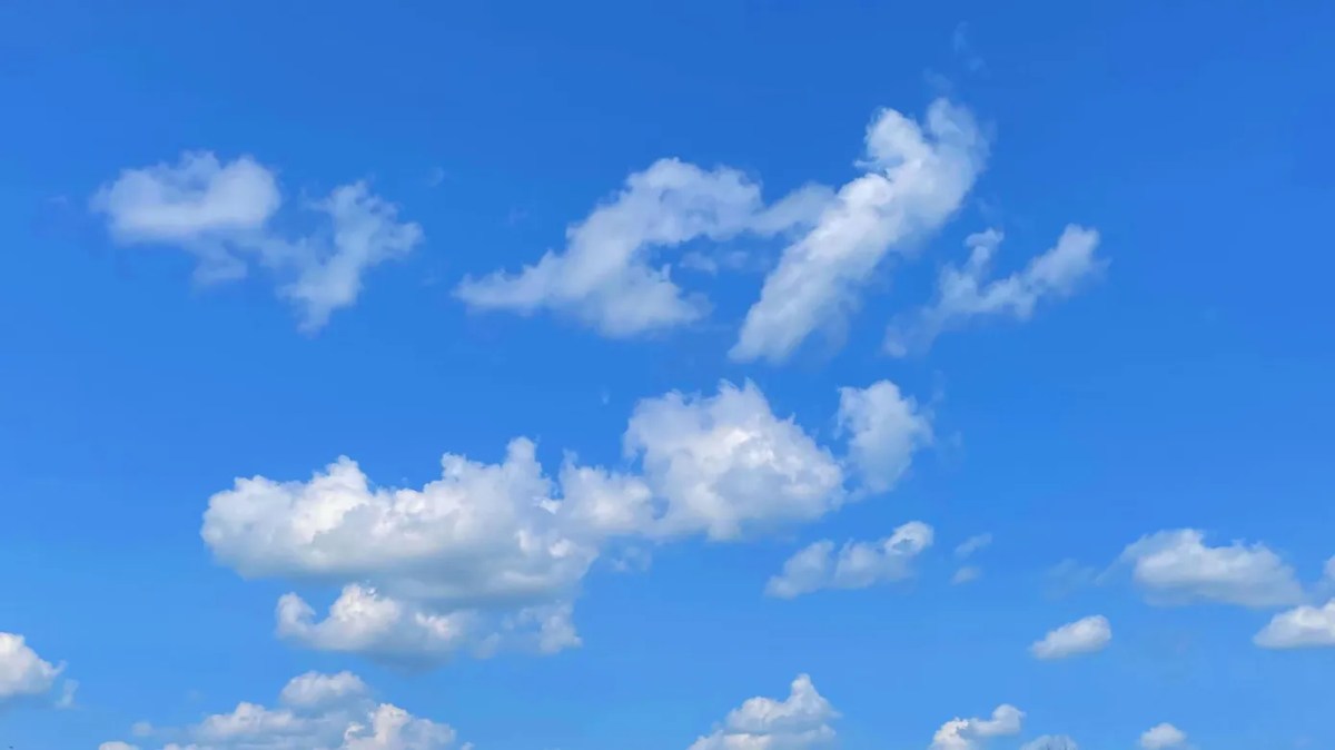 Bluesky Launches Long-Form Content Initiative to Compete with X Articles