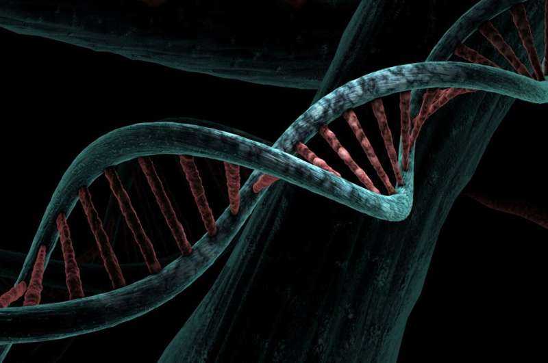 Largest Study Reveals New Metabolic Links Through Rare DNA Variants