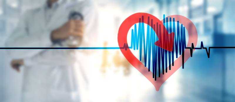 The left and right ventricles differ in their ability to withstand the effects of cardiac arrest, study finds