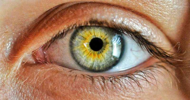 Study Identifies Protein That Helps Eye Cancer Spread to Liver