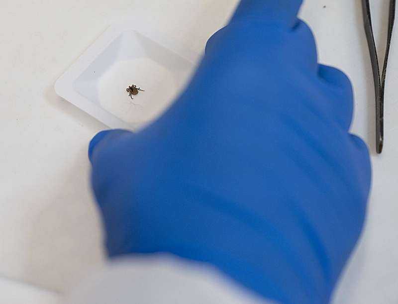 What Tick Tests Can—and Can't—Tell You