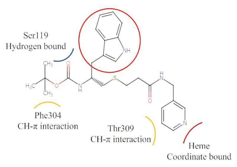 Simulation-guided Search Yields Two Promising Tuberculosis Drug Candidates Targeting CYP