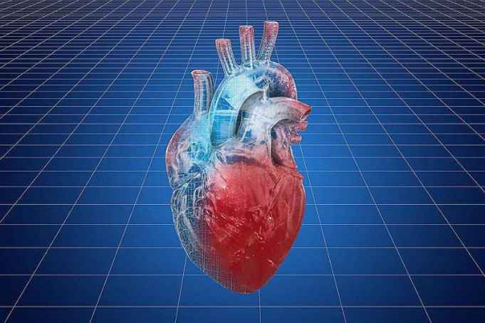 Device-driven, nurse-led intervention safe but neutral for heart failure outcomes in patients with cardiac issues