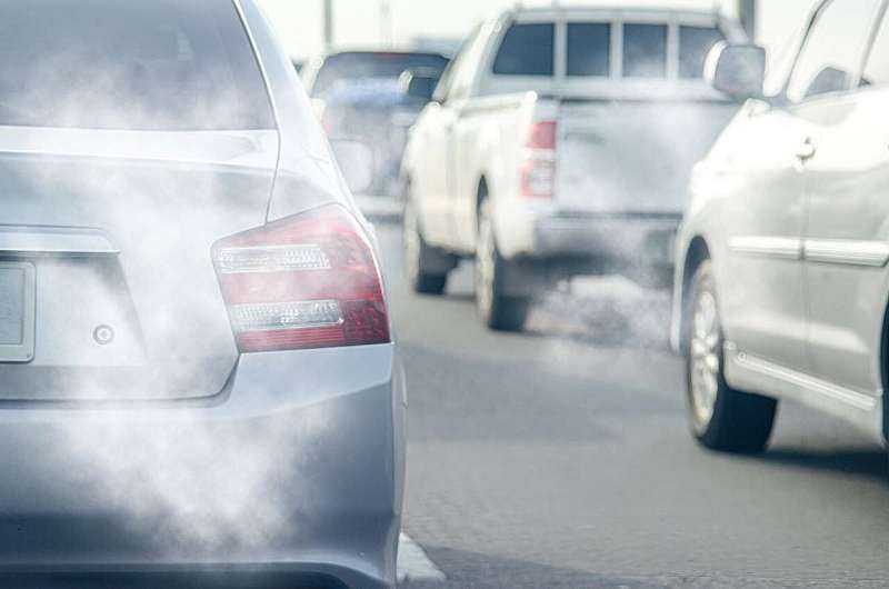 Traffic and Industrial Pollutants Linked to Higher Risk of Chronic Rhinosinusitis