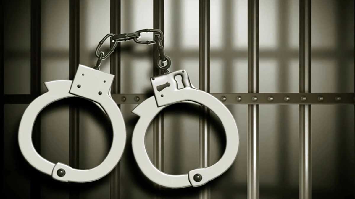 29 Criminals Arrested in Major Operation