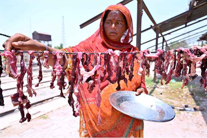 Nomadic Woman Dries Salted Meat in Sunlight Near Railway Station Post-Eid