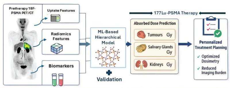 New AI approach aims to predict radiation dose before therapy in advanced prostate cancer