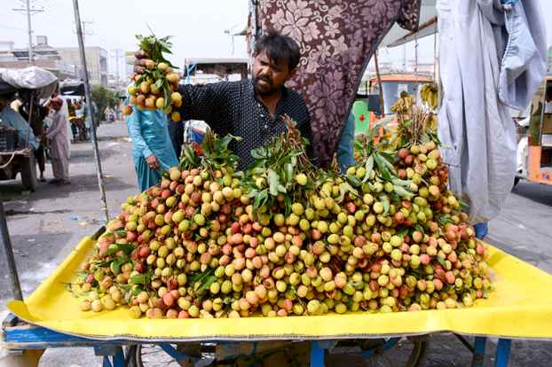 Fresh Lychees on Display at Roadside Stalls During Peak Fruit Season in Summer
