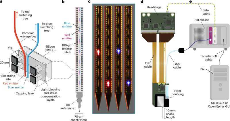 Revolutionary Brain Probe Enables Measurement and Manipulation of Deep-Brain Neurons in Real-Time