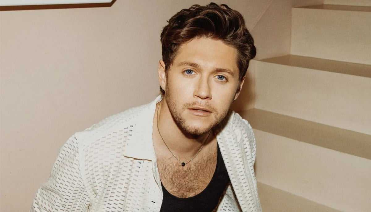 Niall Horan Opens Up About Feeling Jealous of Harry Styles' Solo Success
