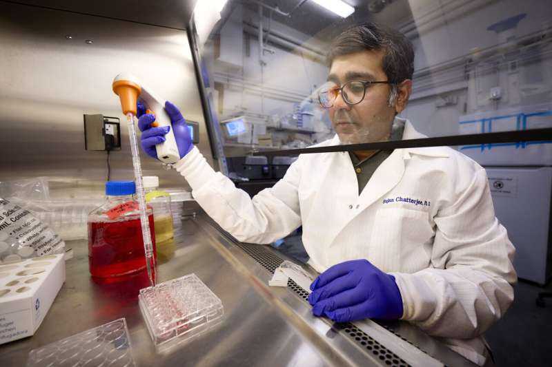 A Common Food Compound May Hold the Key to Shutting Down Leaky Gut Damage
