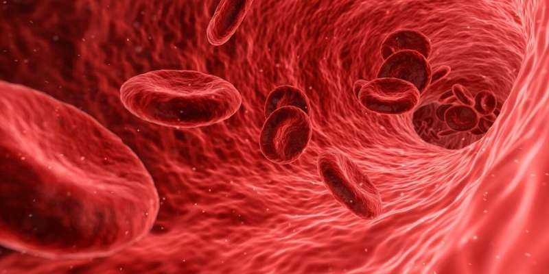 PFAS leave fingerprints in your blood—researchers are beginning to read these clues