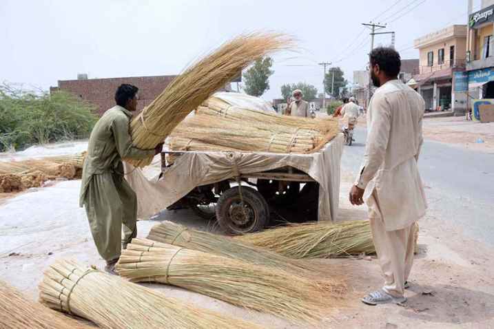 Workers Loading Brooms onto Rickshaws for Local Markets in Pakistan
