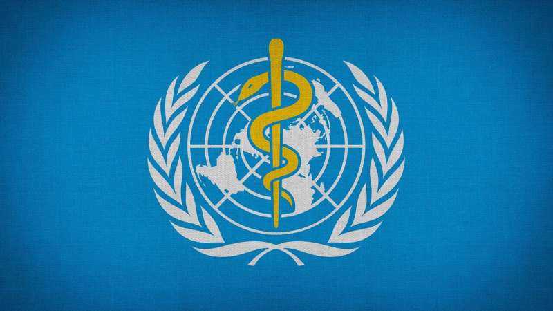 Ebola, Hantavirus Outbreaks Highlight Need for Global Health Cooperation